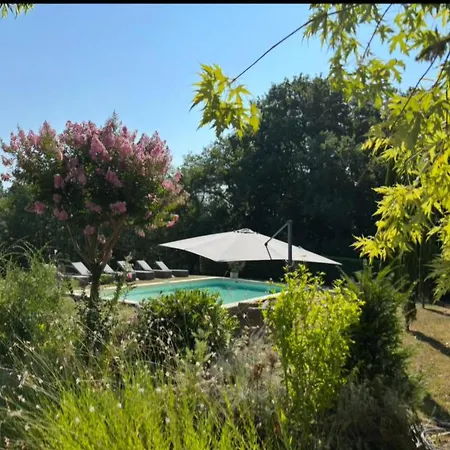 펜션 Maison Avec Piscine Privee - Perigord Noir - Fr-1-616-560 *